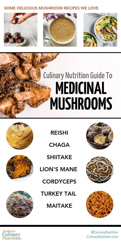 Guide to medicinal mushrooms types best uses and recipes – Artofit