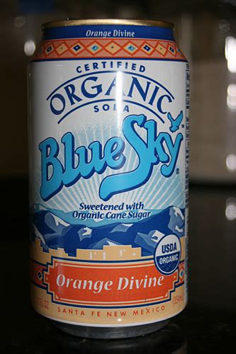 Blue Sky Organic Soda Orange Divine – FoodaSaurusRex