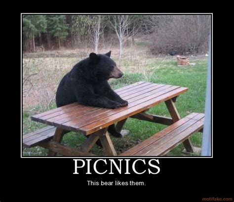 Initial picnic bear demotivational | Patient Bear / Bear Sitting At ...