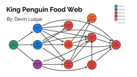 King Penguin Food Web by Devin Luque on Prezi