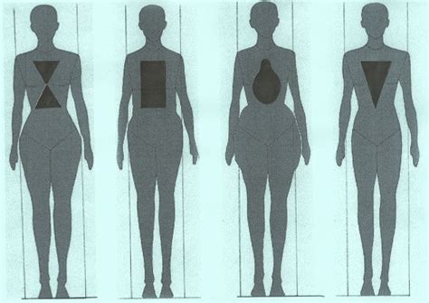 The Different Body Types: Ectomorph, Endomorph or Mesomorph, What Is Your Body Type?