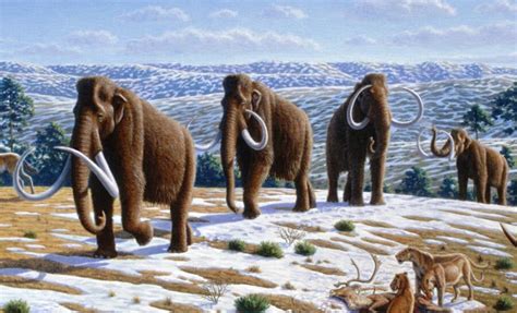 Woolly Mammoths’ Extinction In Canada Happened Just 5,000 Years Ago