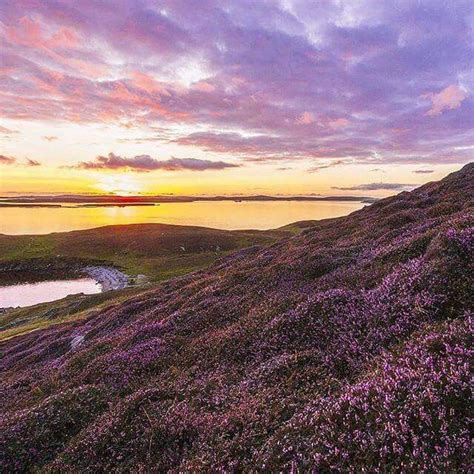 Fields of heather in Scotland What A Beautiful World, Beautiful Places ...