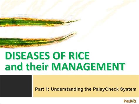 DISEASES OF RICE and their MANAGEMENT Part 1