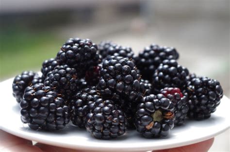 10 Of The Best Berries For Weight Loss - Weight Loss Made Practical