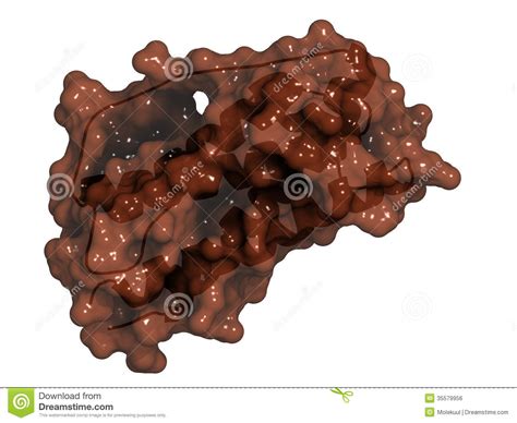 Granulocyte Colony-stimulating Factor (GCSF, Filgrastim) Molecule. Used To Treat Neutropenia ...