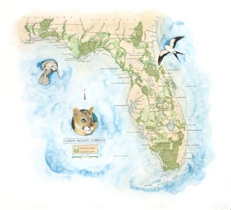 Maps | Florida Wildlife Corridor Foundation