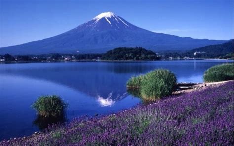 Mt. Fuji And Lake Kawaguchi Guided Hiking Tour From Tokyo - Tokyo ...