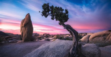 Joshua Tree and Death Valley - Off the Beaten Path