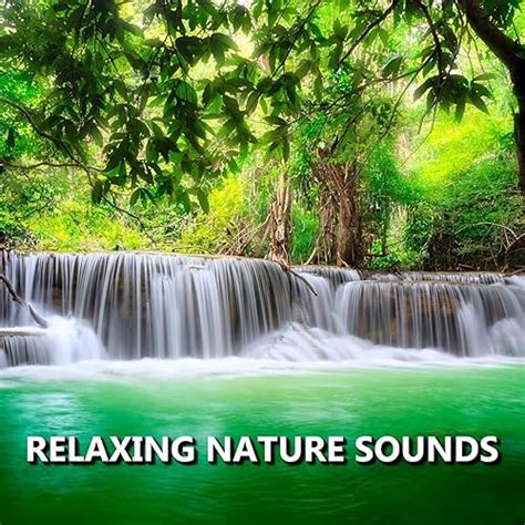 Relaxing Nature Sounds von Nature Sounds bei Amazon Music - Amazon.de