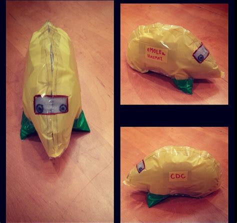 eMOLEa Hazmat 2014 Mole day project for chemistry. Stuffed mole made from felt. | Chemistry ...