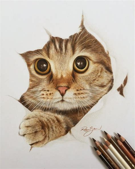 colored pencil portraits pet - Jewell Mahoney