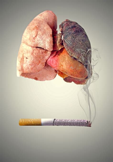 Smoking Lungs Diagram