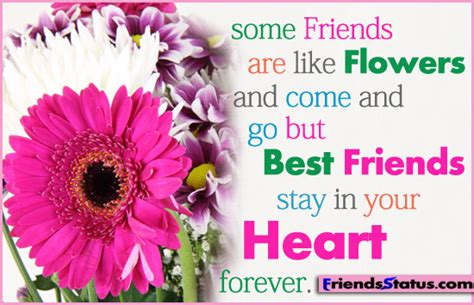 Flower Quotes About Friendship. QuotesGram