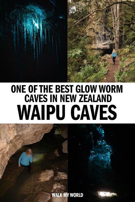 Discover the Spectacular Waipu Caves