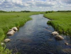 Grassed Waterways | Seine-Rat River Conservation District