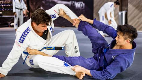 7 Pieces of Advice to Become Expert in Brazilian Jiu-Jitsu ...