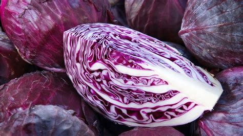 ARCHAEOLOGY OF FRUITS & VEGETABLES - Red Cabbage - Chef's Mandala