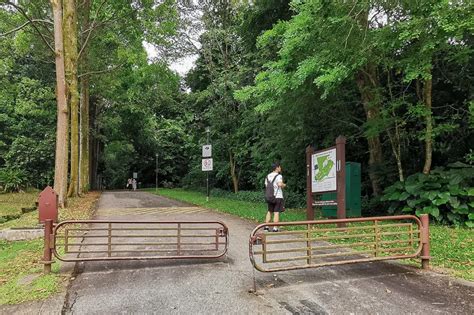 Guide to Visiting Bukit Batok Nature Park