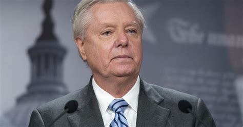 U.S. Sen. Lindsey Graham testimony in 2020 election probe put on hold - National | Globalnews.ca