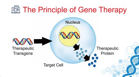 Gene Therapy | Viral Vector Gene Therapy | Application to Hemophilia