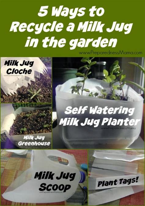 5 Ways to Recycle a Milk Jug in the Garden | PreparednessMama | Milk jugs garden, Milk jug ...