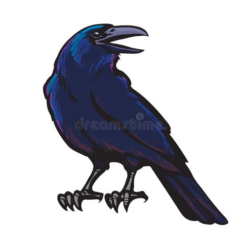 Graphic Black Crow Isolated on White Background Stock Vector ...