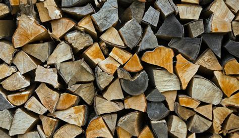 The Best and Worst Trees for Firewood - Hobby Farms