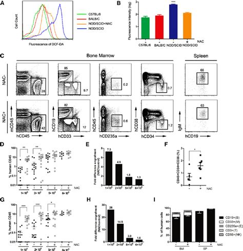 Improved human hematopoietic cell engraftment in NOD/SCID mice by ...