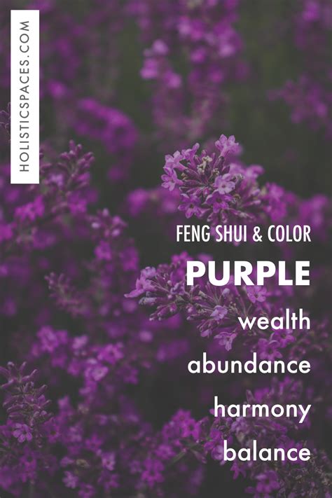 Enhance Your Home with the Power of Purple - Holistic Spaces Blog