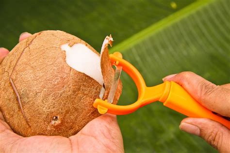 How to Open a Coconut | Open a coconut, Coconut, Allergy free recipes