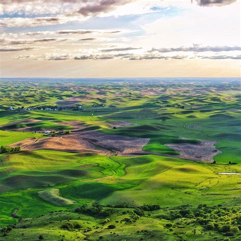 SEO To Grow Businesses On The Palouse - Pullman Marketing