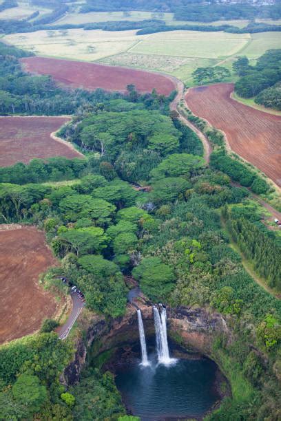 Best Wailua Falls Stock Photos, Pictures & Royalty-Free Images - iStock