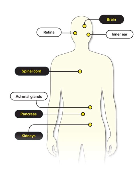 What Is Von Hippel-Lindau (VHL) Disease?