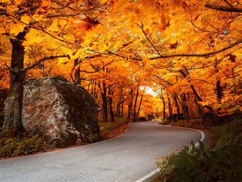 10 BEST Places to See Fall Foliage Near our Vermont B&B