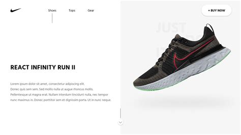 NIKE REACT INFINITY RUN II CONCEPT on Behance