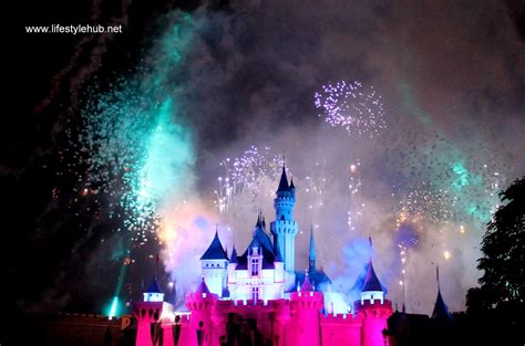 The Lifestyle Hub: Disneyland Delight: Sleeping Beauty's Castle ...