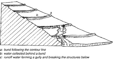 Contour bund broken by overtopping. | Download Scientific Diagram