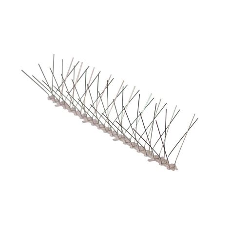 Longray 10 ft. Stainless Steel Bird Spikes-LR-LRW5-6 - The Home Depot