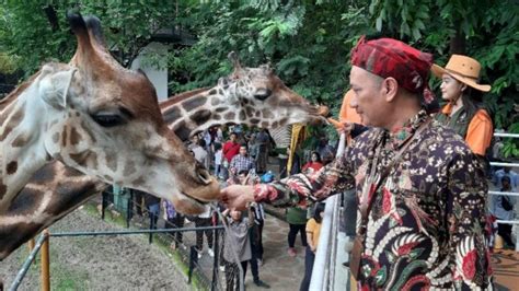 Kebun Binatang Surabaya Bakal Lengkapi Fasilitas Ini untuk Memanjakan ...