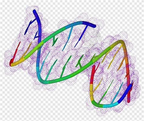 تنزيل مجاني | علم الأحياء جزيء DNA DNA الوراثي ، الجينات الحرة, عنصر ...