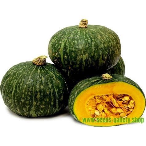 Green Kabocha - Hokkaido Squash Seeds - Price €2.35