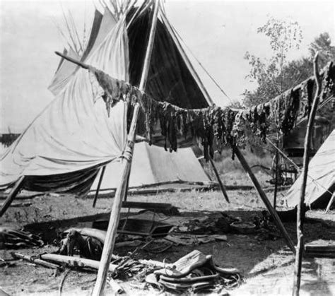 Pemmican (sun-dried meat) :: Western History | Native american photos, Native american fashion ...