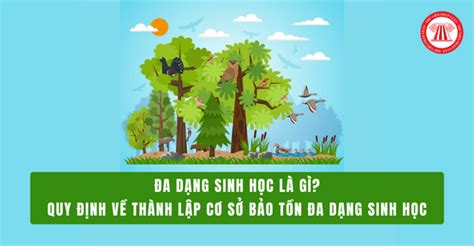 Đa dạng sinh học là gì? Quy định về thành lập cơ sở bảo tồn đa dạng sinh học