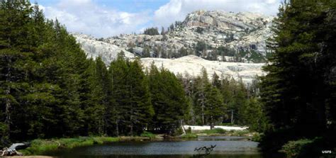 Stanislaus National Forest | California National Forests