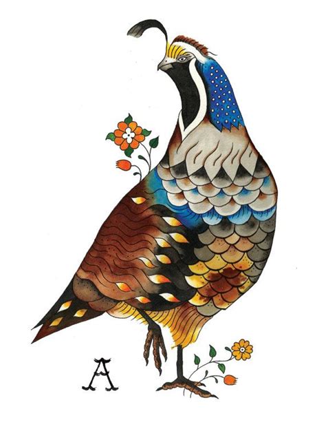 Quail Print by Loyalscout on Etsy, $10.00 | Bird art, Bird drawings ...