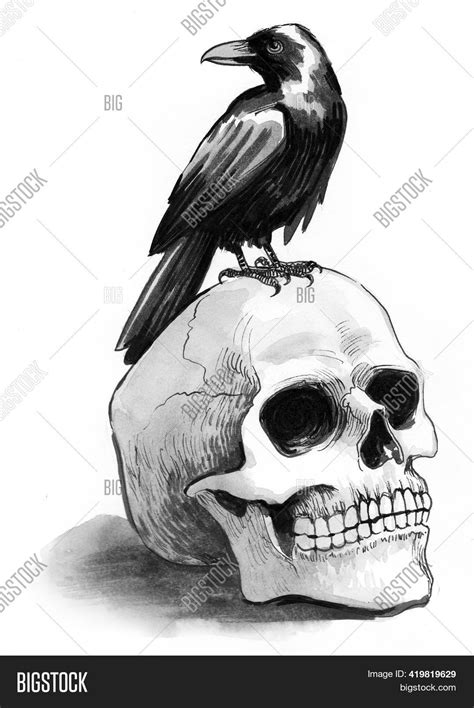 Crow Bird Sitting On Image & Photo (Free Trial) | Bigstock