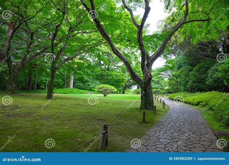 A Japanese Garden at the Public Green Park Wide Shot Stock Image ...