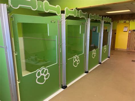 Increase the look of your kennel facility by adding colorful kennels!