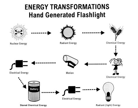 5 Identify Transformations Worksheet / worksheeto.com